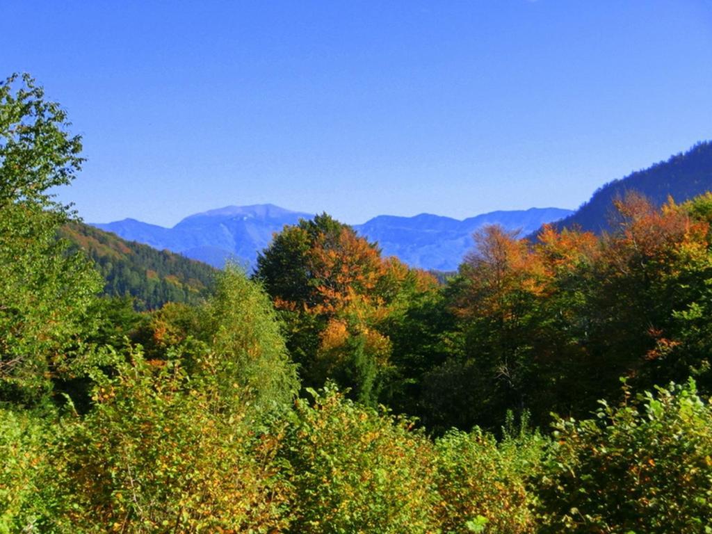 Gaestehaus Forstner Loich Bagian luar foto