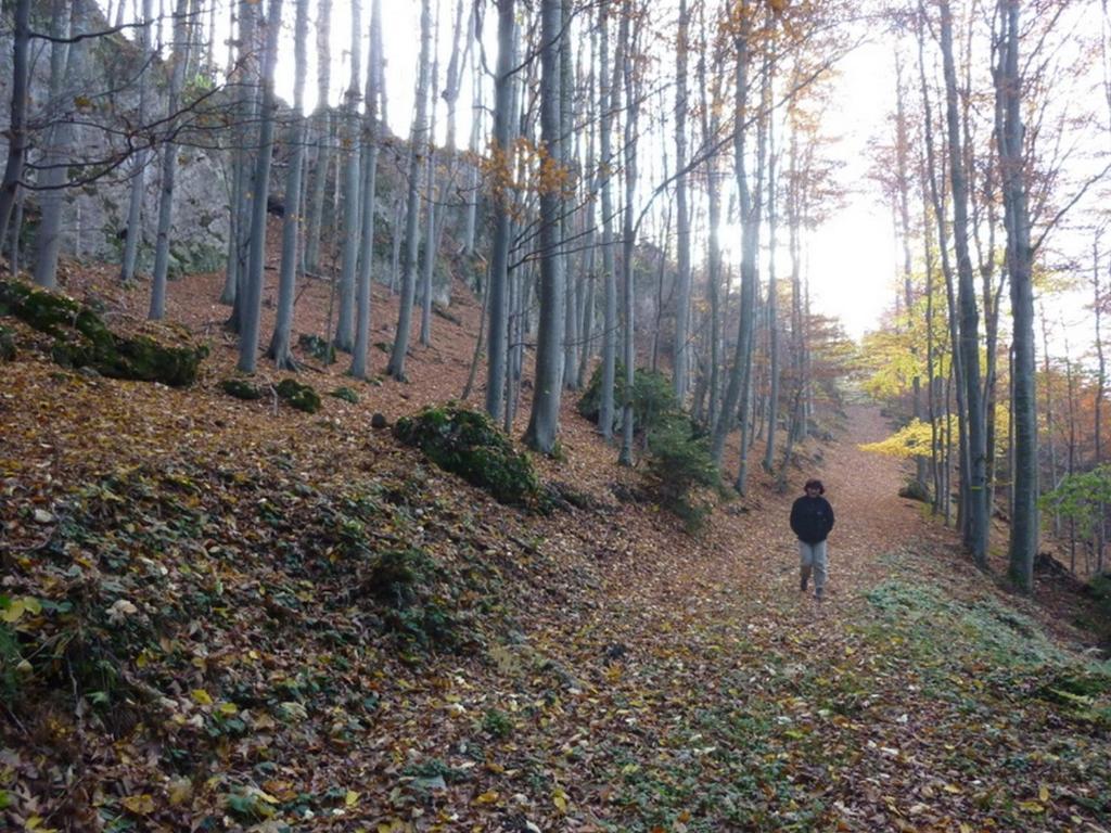 Gaestehaus Forstner Loich Bagian luar foto