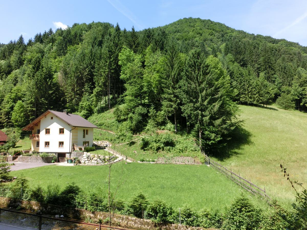 Gaestehaus Forstner Loich Bagian luar foto