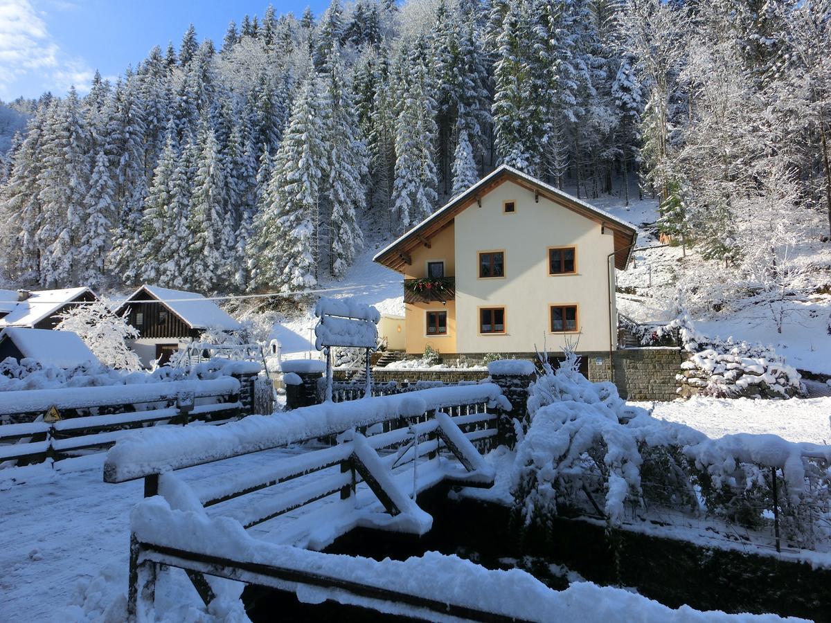 Gaestehaus Forstner Loich Bagian luar foto